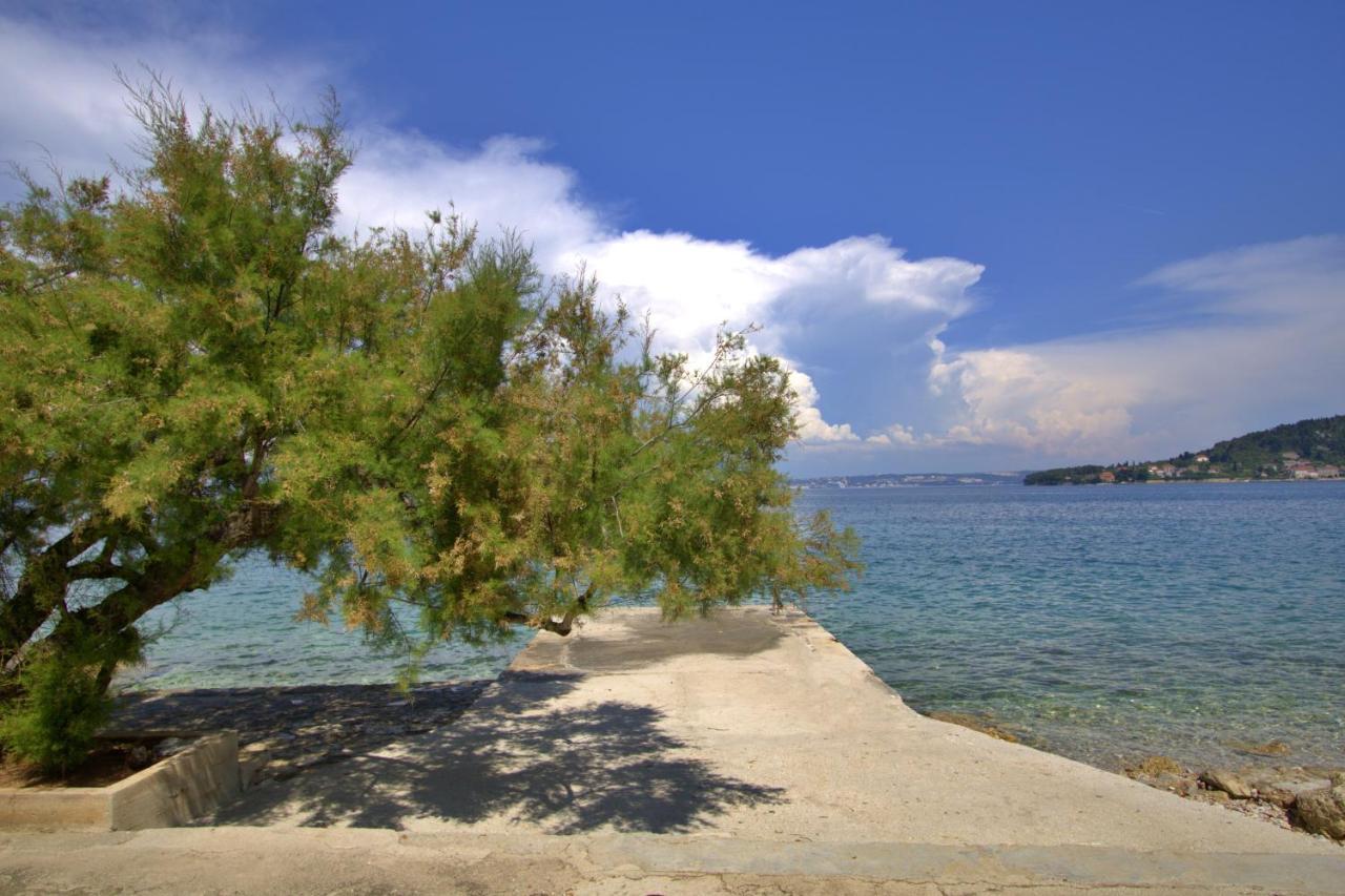 Lägenhet Beachfront Summer Oasis